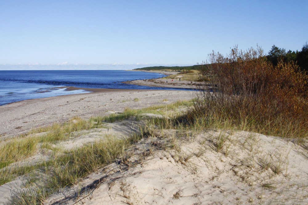 Užava River Estuary