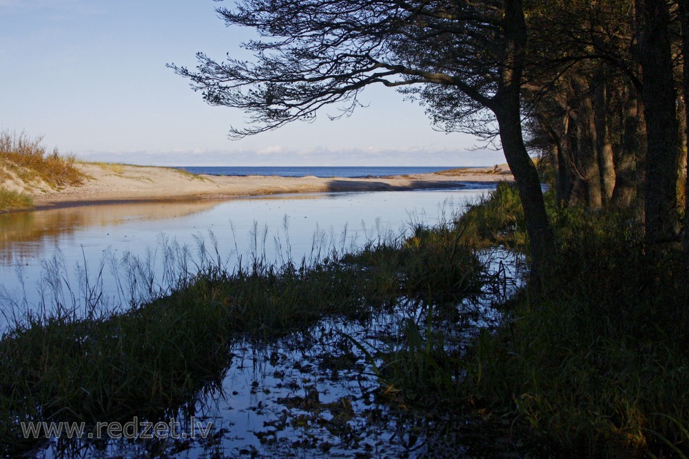 Užava River Estuary