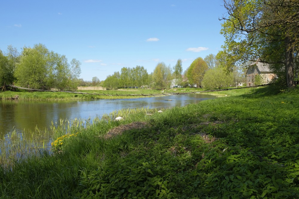 The Mēmele River near Lielmēmele