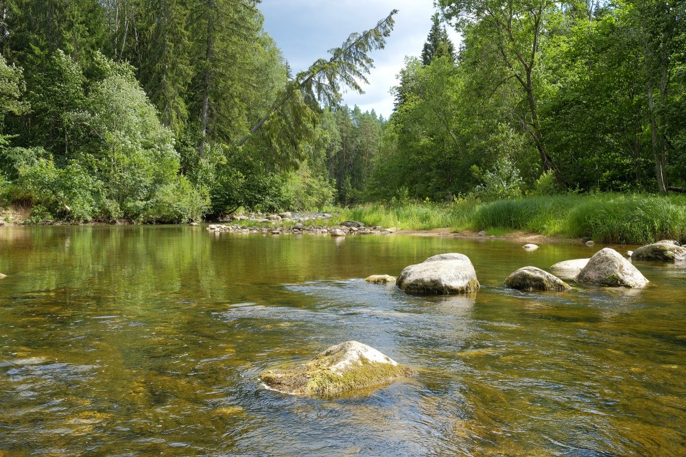 Amata River Near Veclauči Bridge