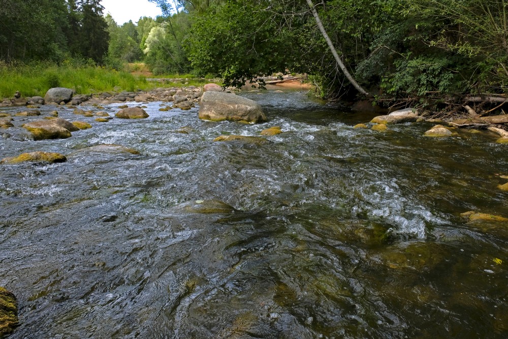 Amata River In Summer