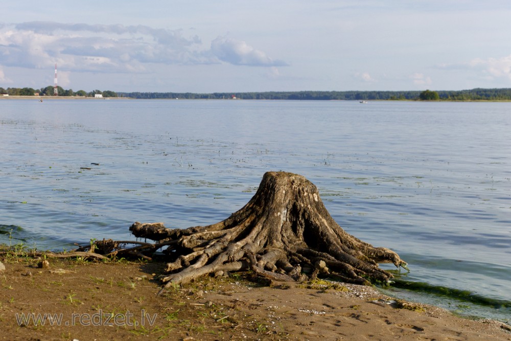 Daugava pie Saulkalnes