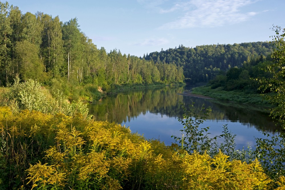 Gauja pie Siguldas