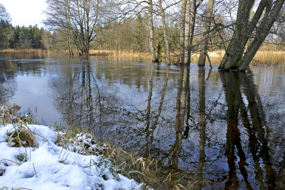 The River Engure near Ugāle has Overflowed