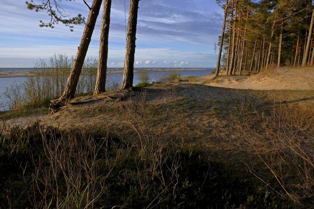 Irbe River Estuary