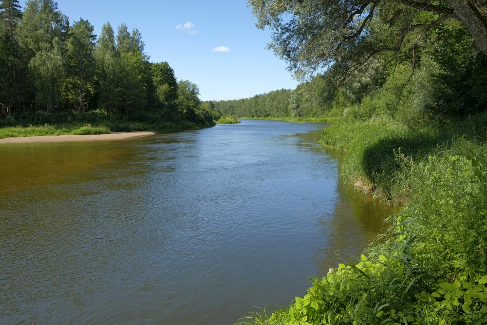 Gaujas ainava (Krimuldas novads)