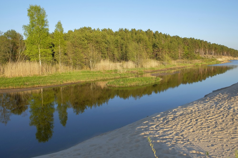 Vitrupe Estuary in the Gulf of Riga