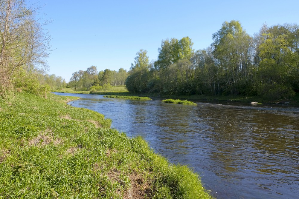 Salaca netālu no Sarkanām klintīm