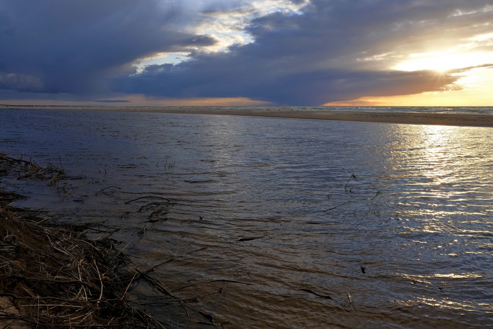 Irbe River Estuary