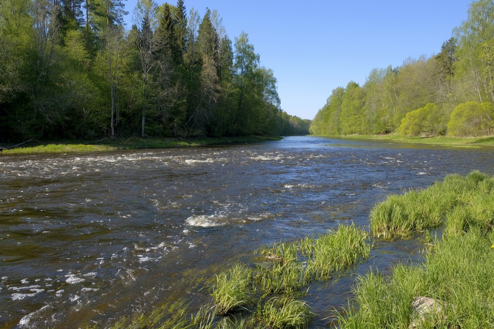Salaca pie Mērnieku krācēm
