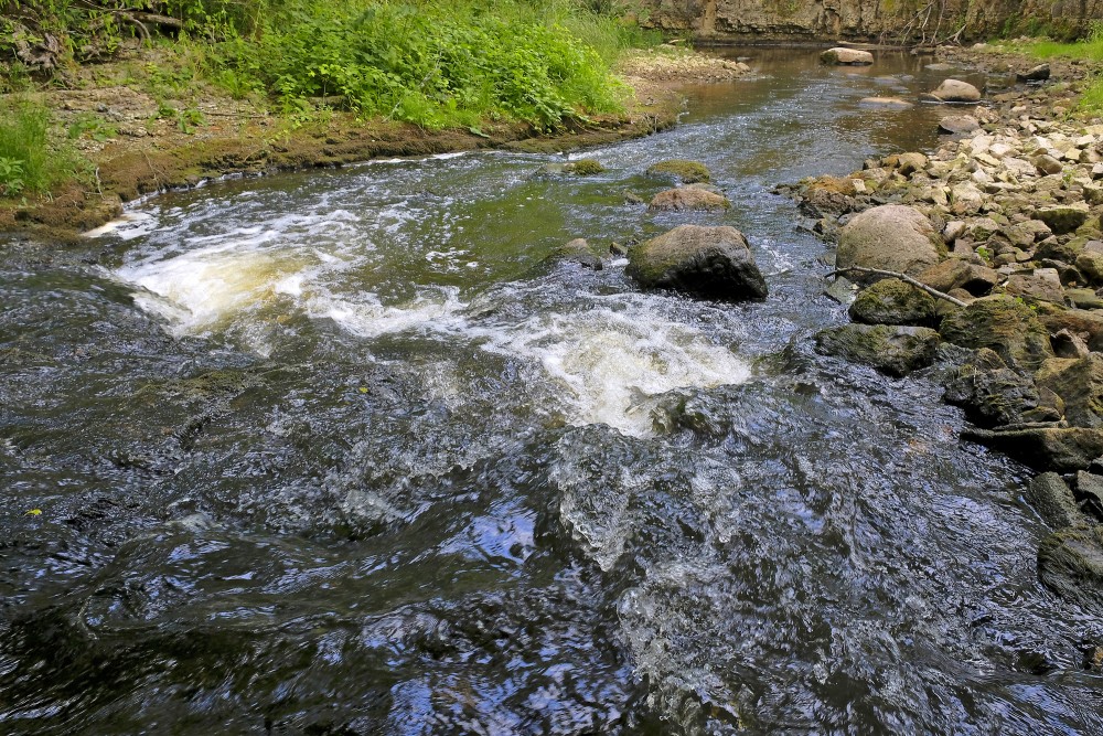 Neliels ūdenskritums Vizlas upē Neliels ūdenskritums Vizlas upē