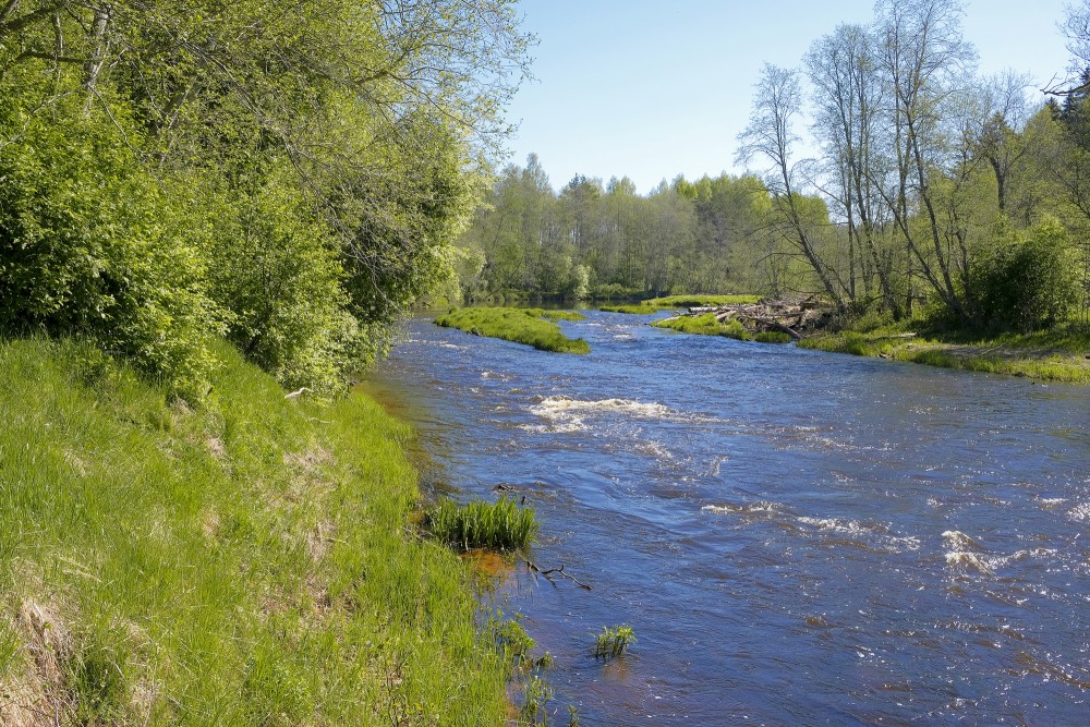 Mērnieki Rapids, Salaca River