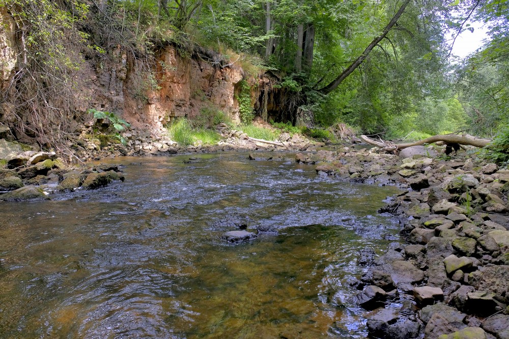 Dolomīta atsegumi Vizlas upes krastā Dolomīta atsegumi Vizlas upes krastā