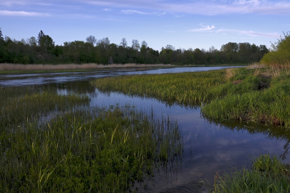 Venta River near Kuldīga