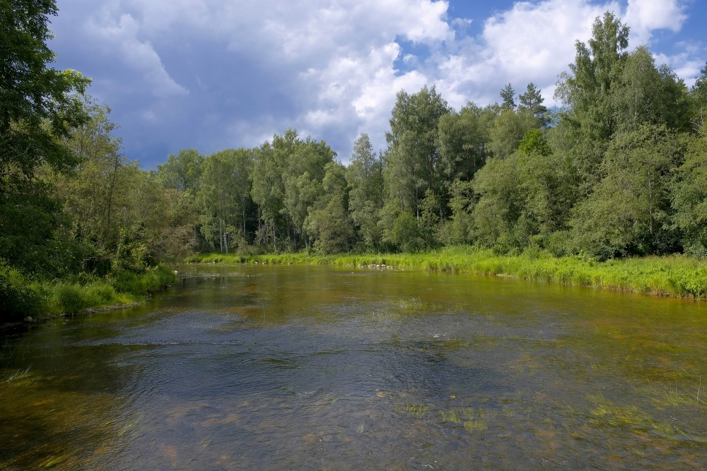 River Gauja near Vidaga