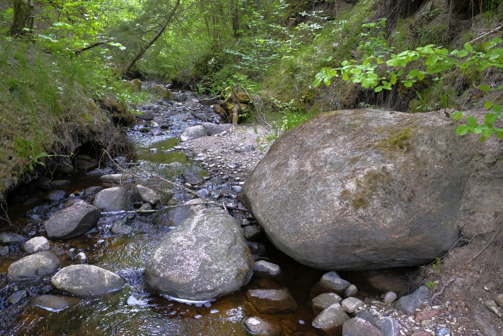 Dūkupju stream near Dūkupju waterfall