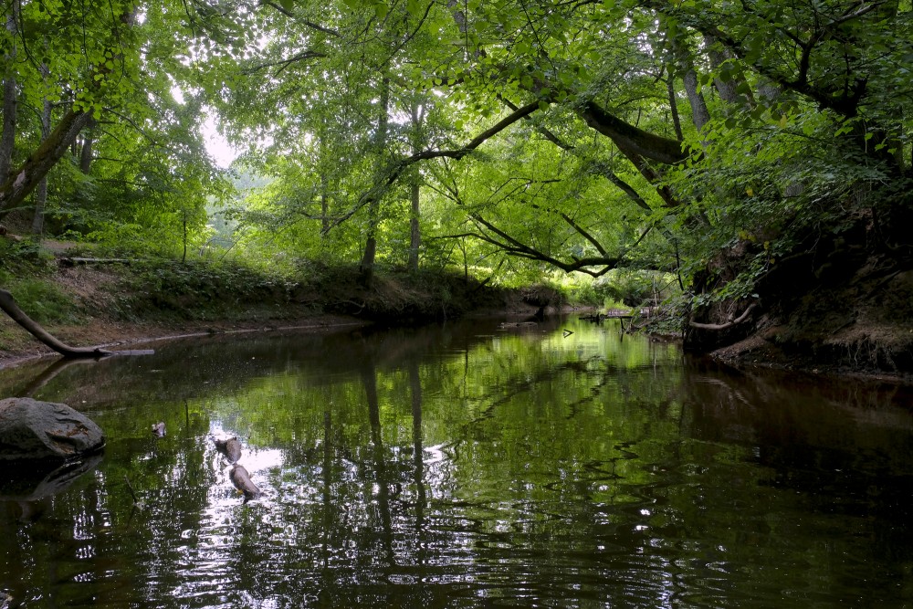 Roja River at the Lūrmaņi Outcrops