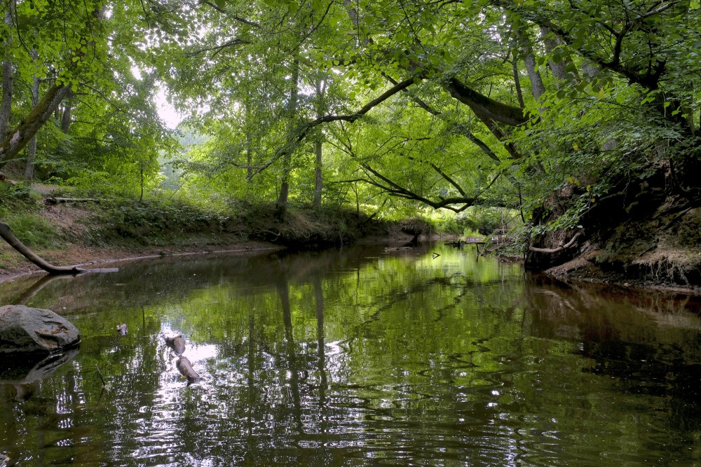 Rojas upe pie Lūrmaņu atsegumiem