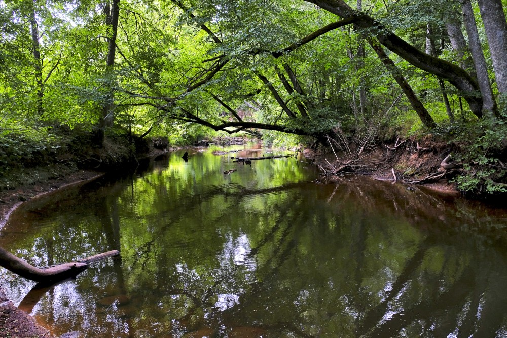 Rojas upe pie Lūrmaņu atsegumiem