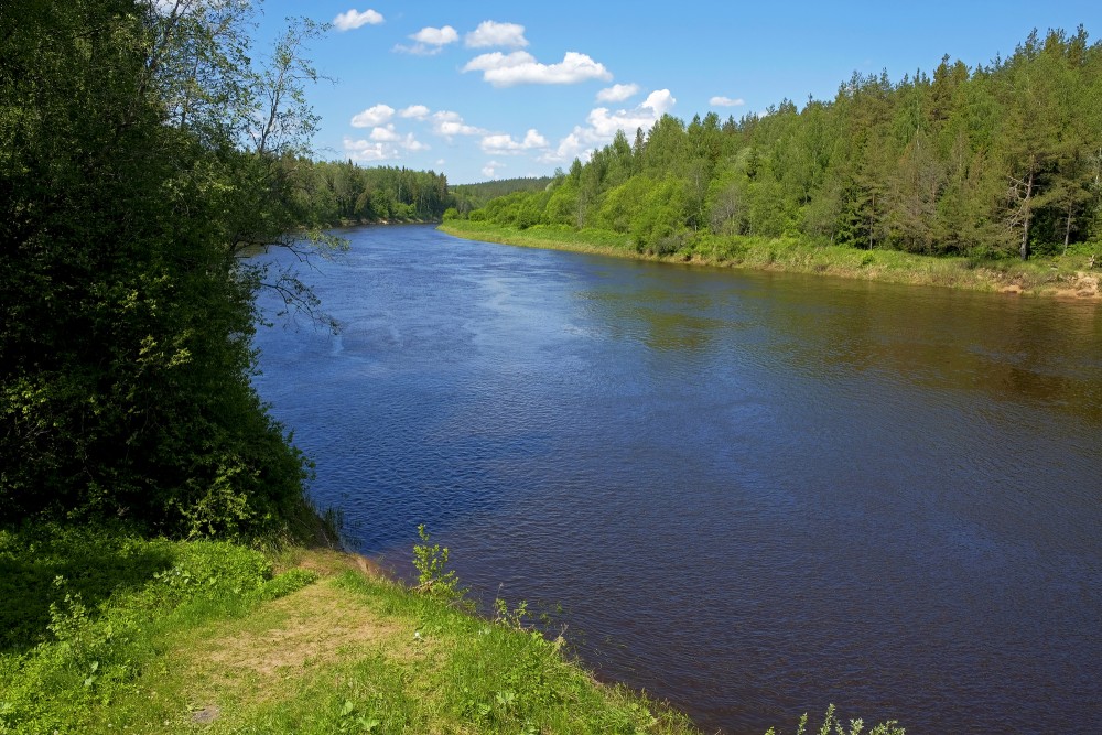 Gauja pie Rāmniekiem