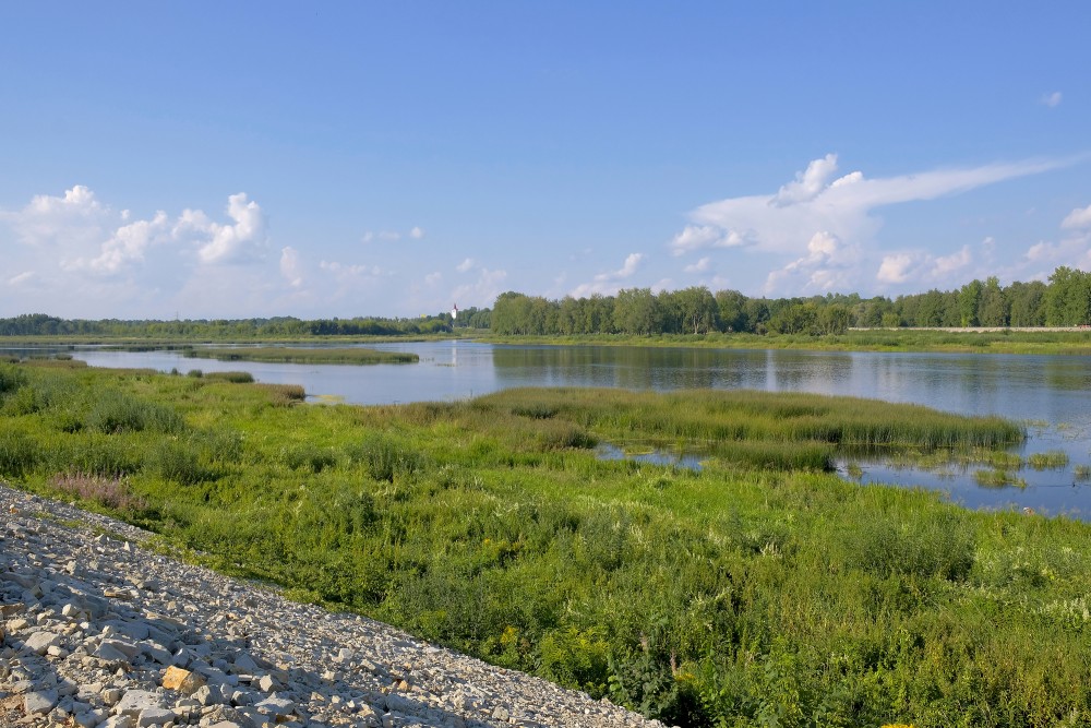 Daugava near Jēkabpils