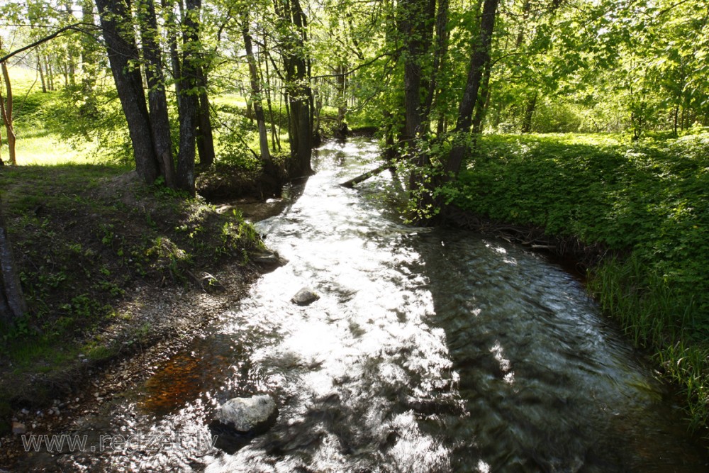 Ķekaviņas upe Baldonē