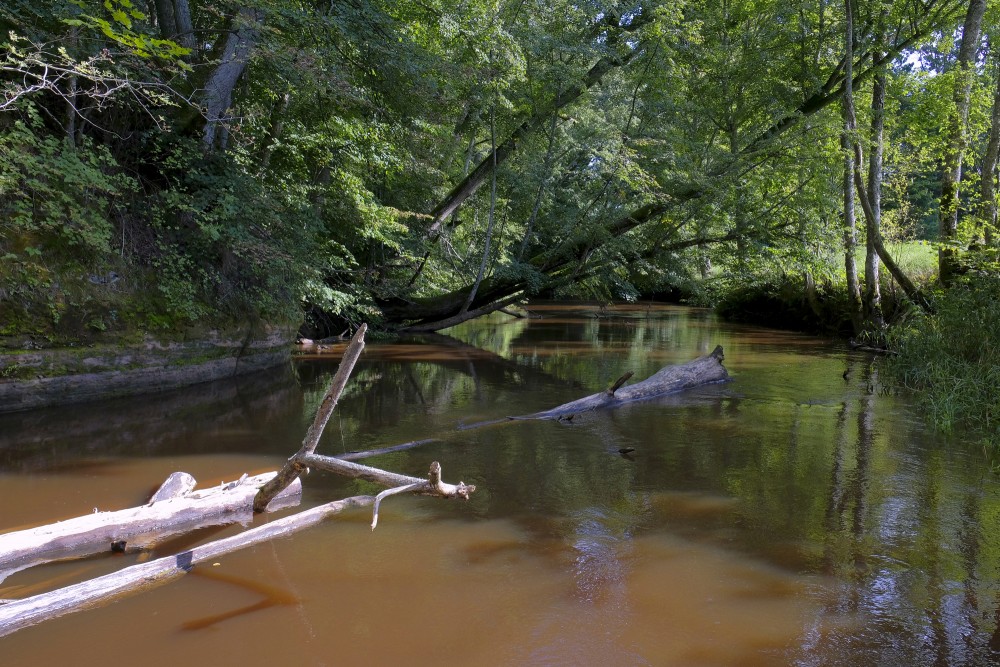 The Roja River near the Lūrmaņi Outcrops