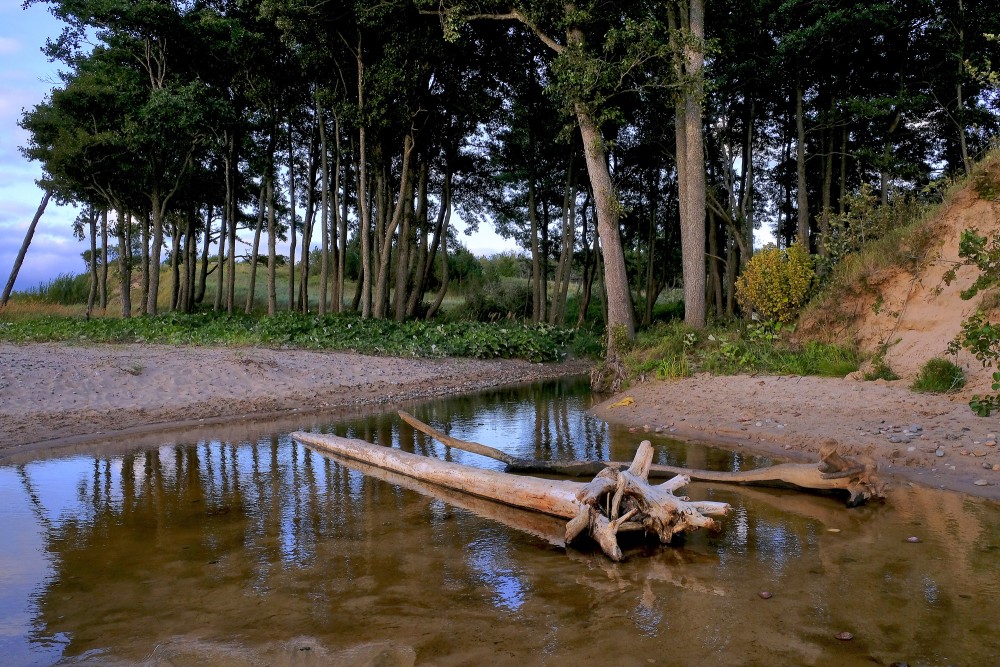 Muižupītes ieteka jūrā