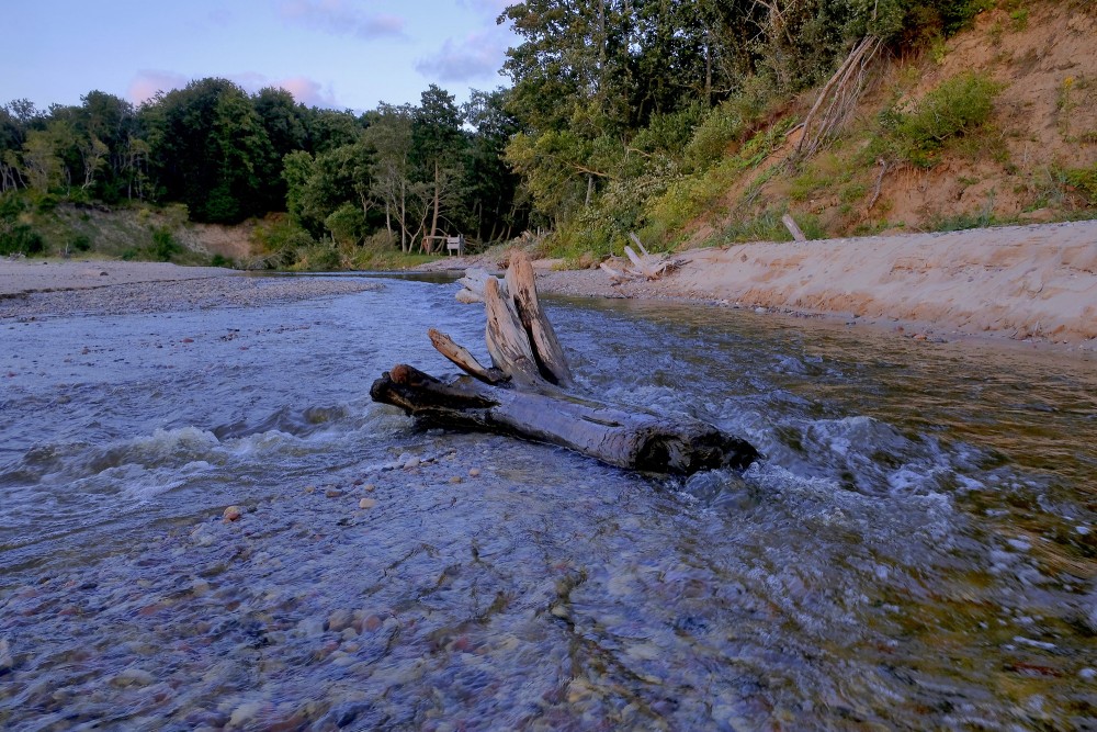 Rīvas ieteka jūrā