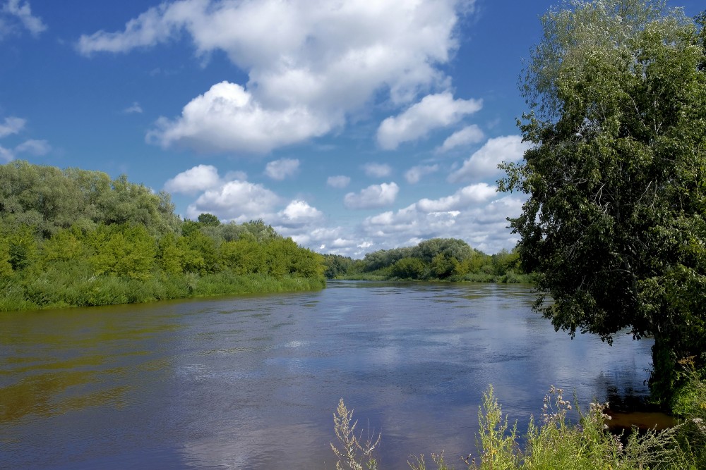 Gauja pie Ādažiem