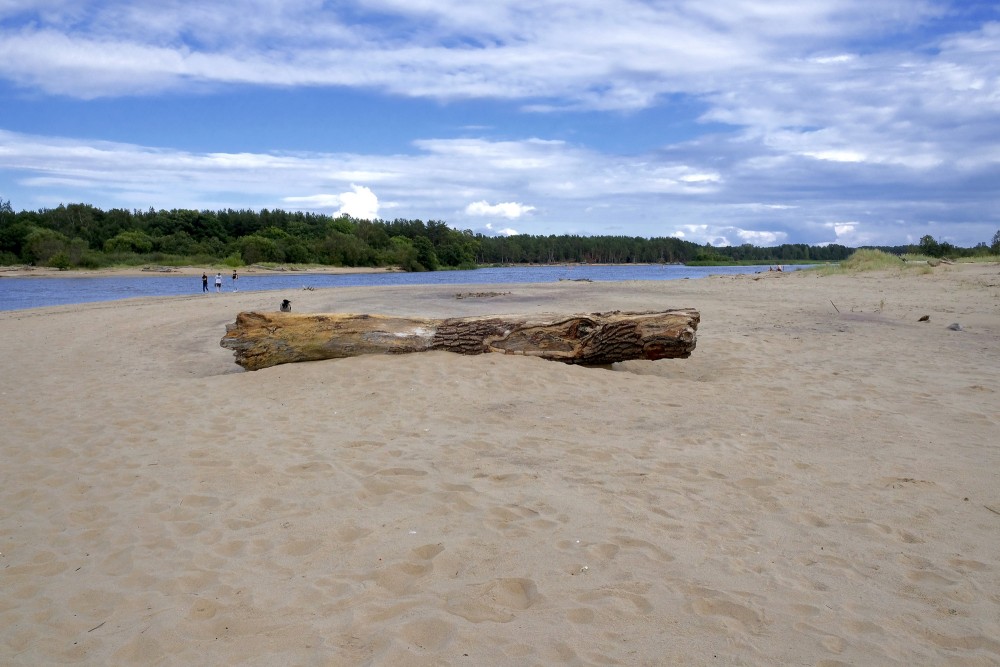 The Gauja River Flows into the Sea