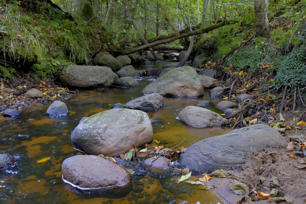 A Rocky River