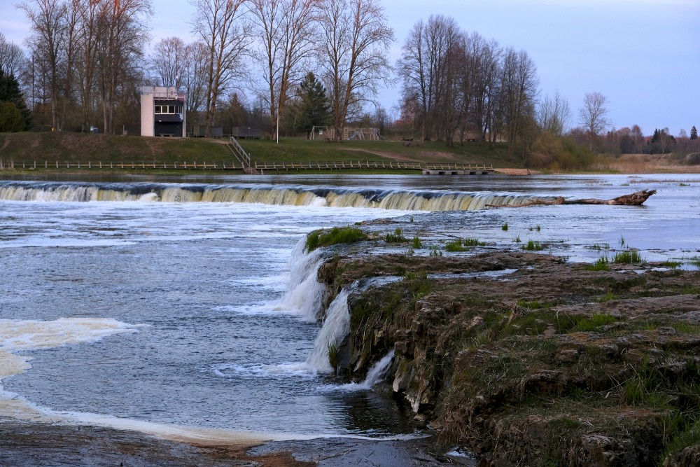 Venta Rapid in Spring