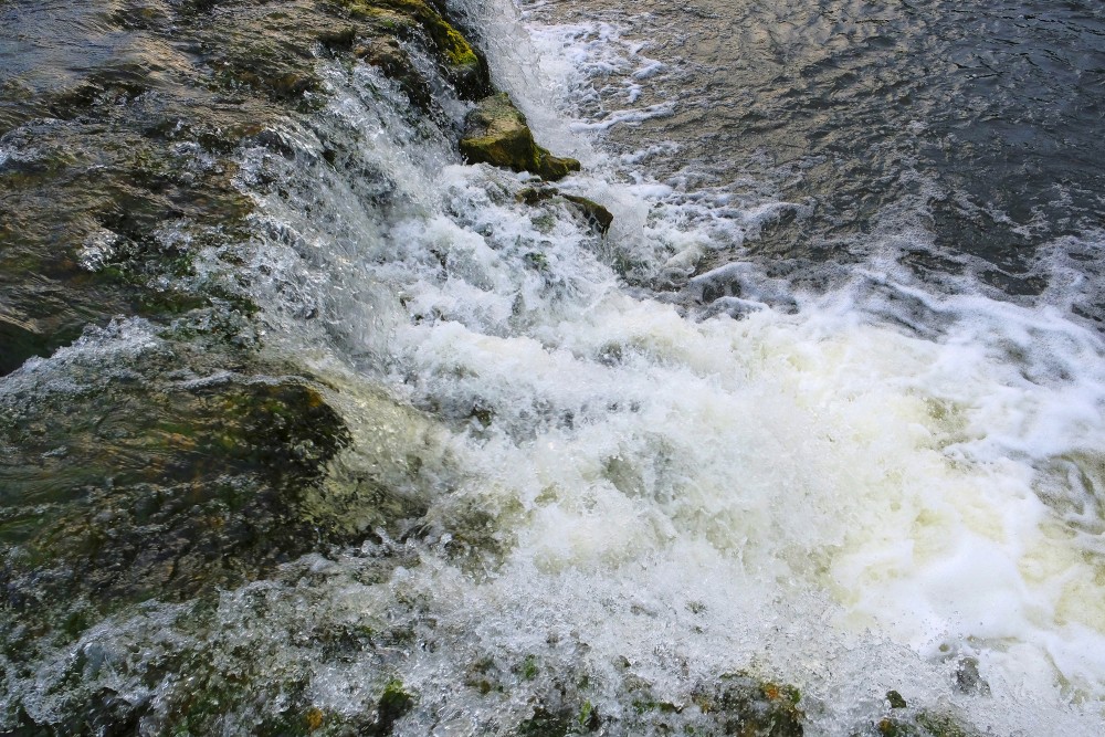 Close-up of the Venta Rapid