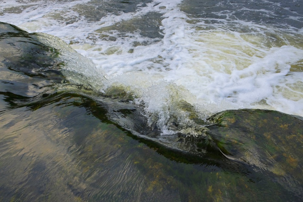 Close-up of the Venta Rapid