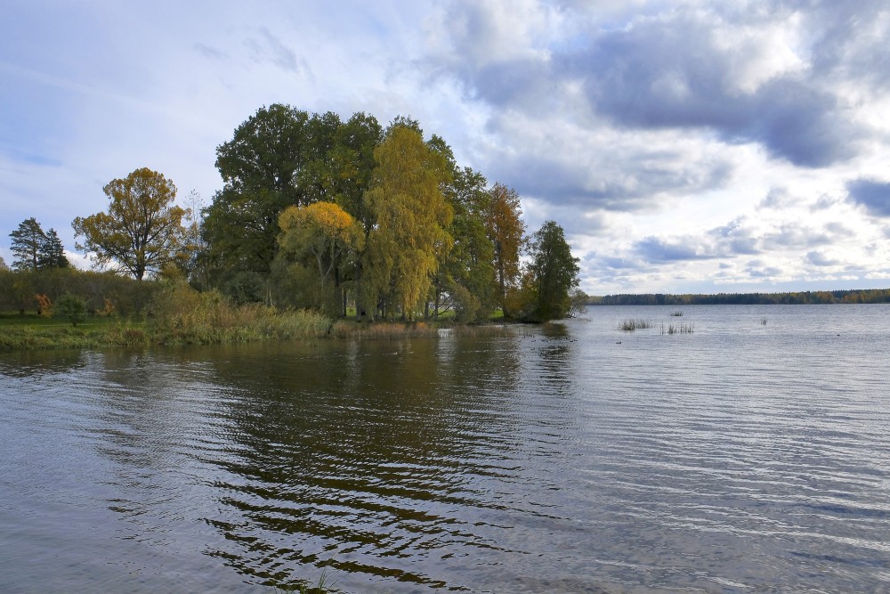 Rudenīgs skats uz Daugavu ar kokiem piekrastē un mierīgu ūdens virsmu