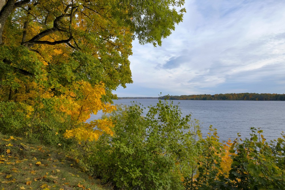 Rudens lapotne Daugavas krastā ar skatu uz upi