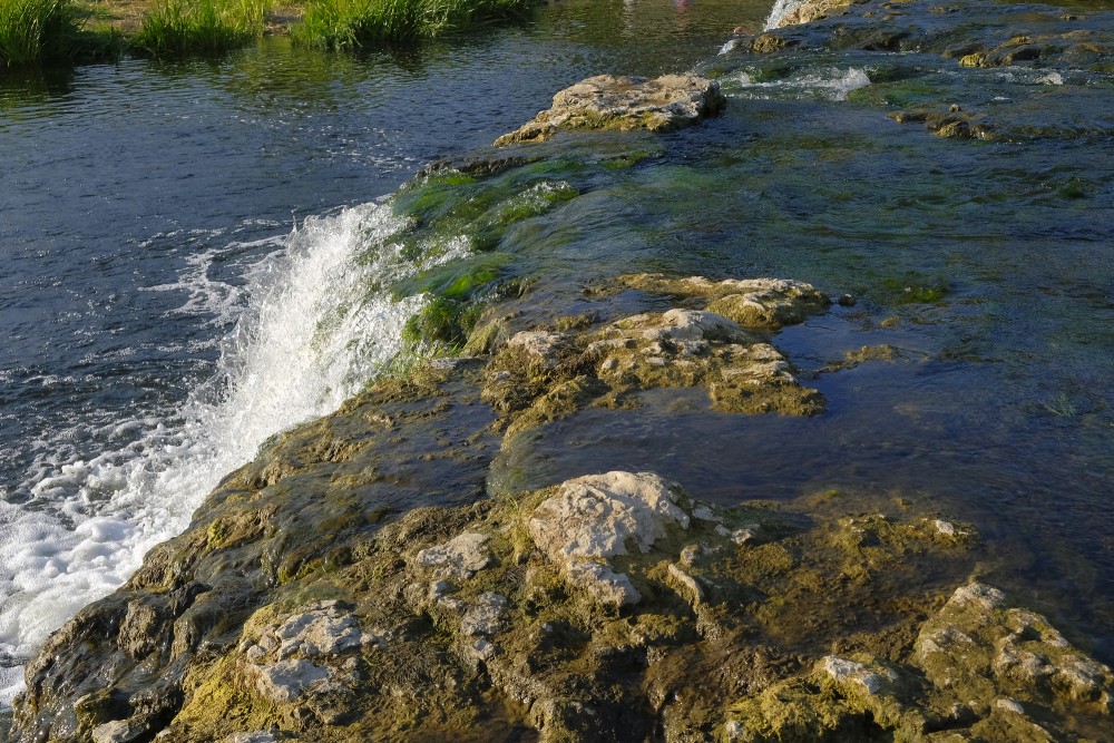 Close-up of the Venta Rapid