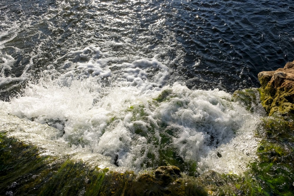 Close-up of the Venta Rapid