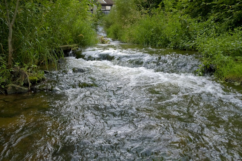 Alekšupīte River Estuary in Venta River