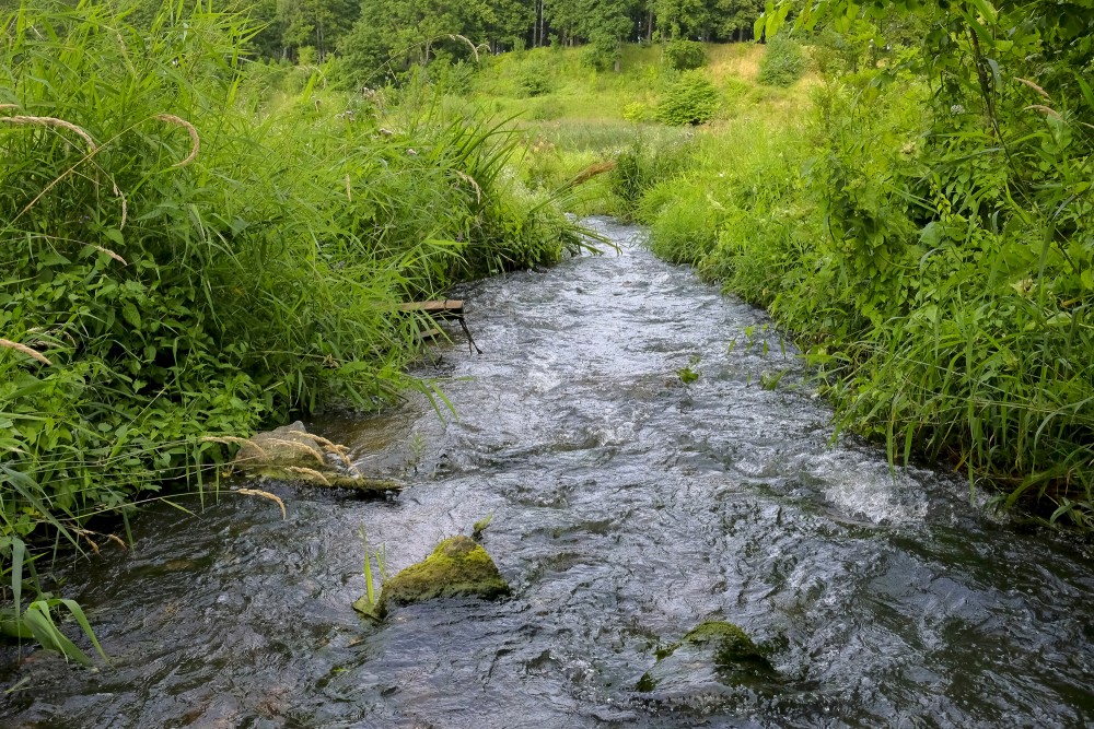 Alekšupīte River Estuary in Venta River