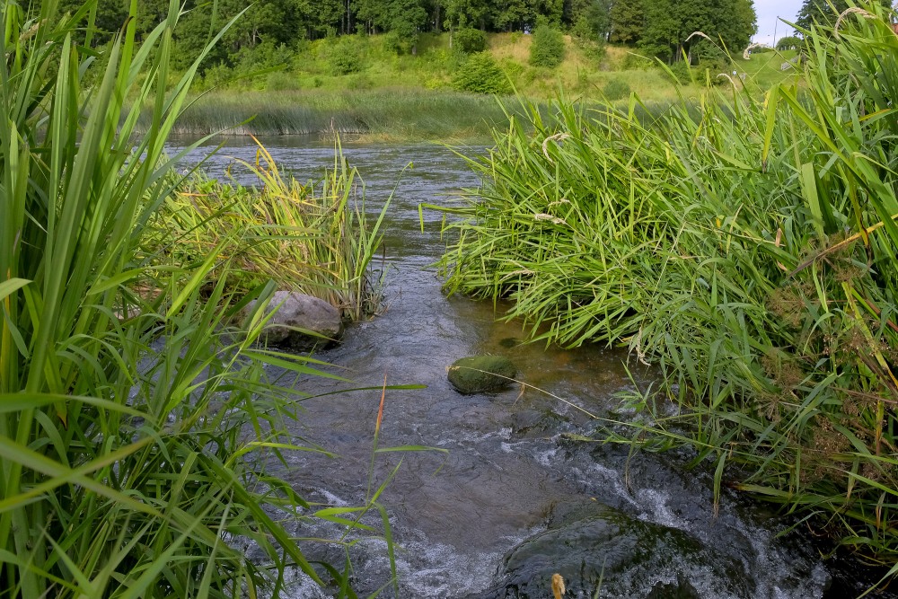 Alekšupītes ieteka Ventā