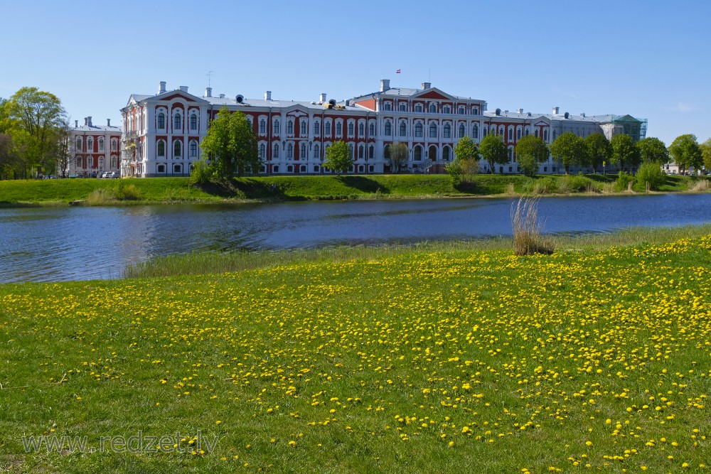 Spring: Dandelion Meadow, Lielupe and Latvia University of Agriculture