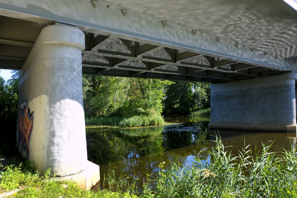 Under Ozolnieki Car Bridge over Iecava