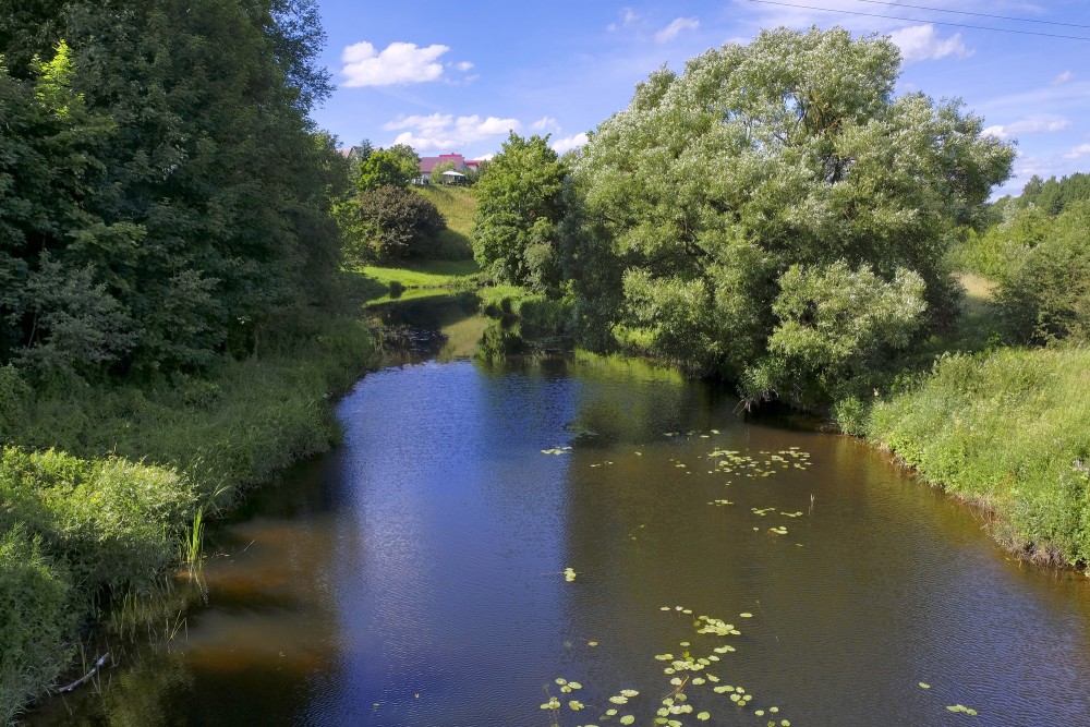 Akmena River with Water Lilies and Lush Green Banks