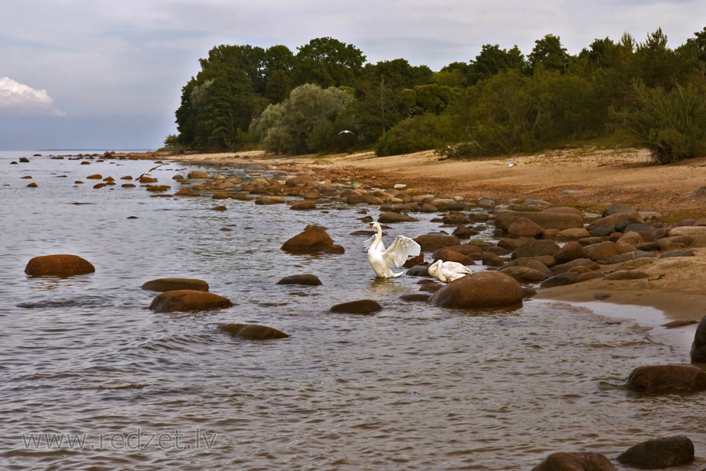 Stony shore in Mersrags, Latvia