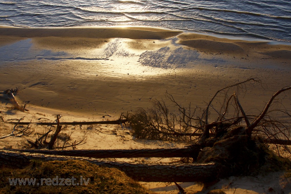 View from Steep Coast, Latvia