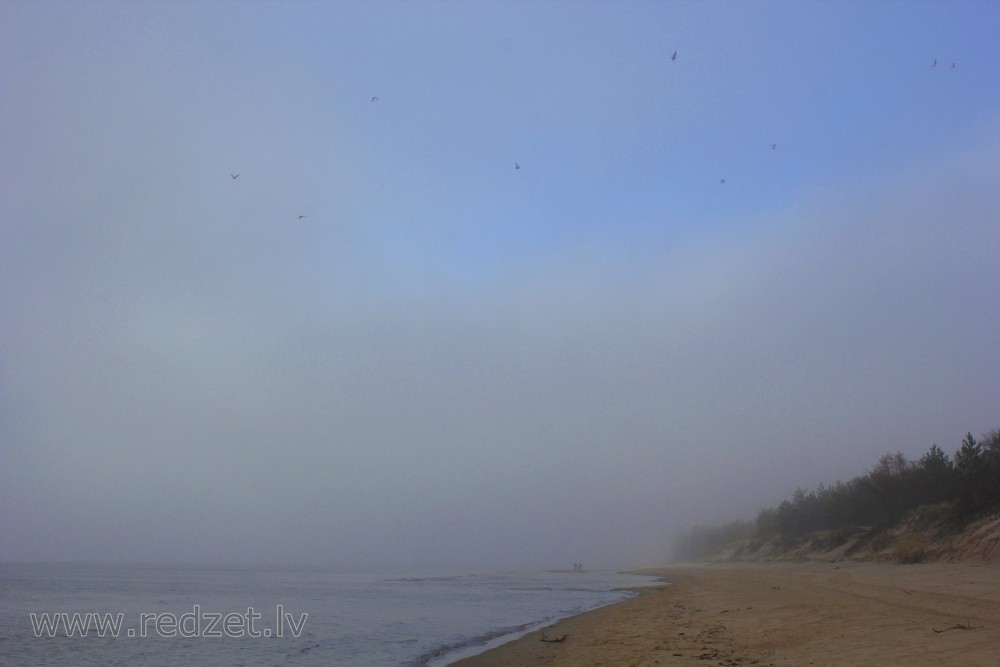 Fog in the Sea in late Autumn