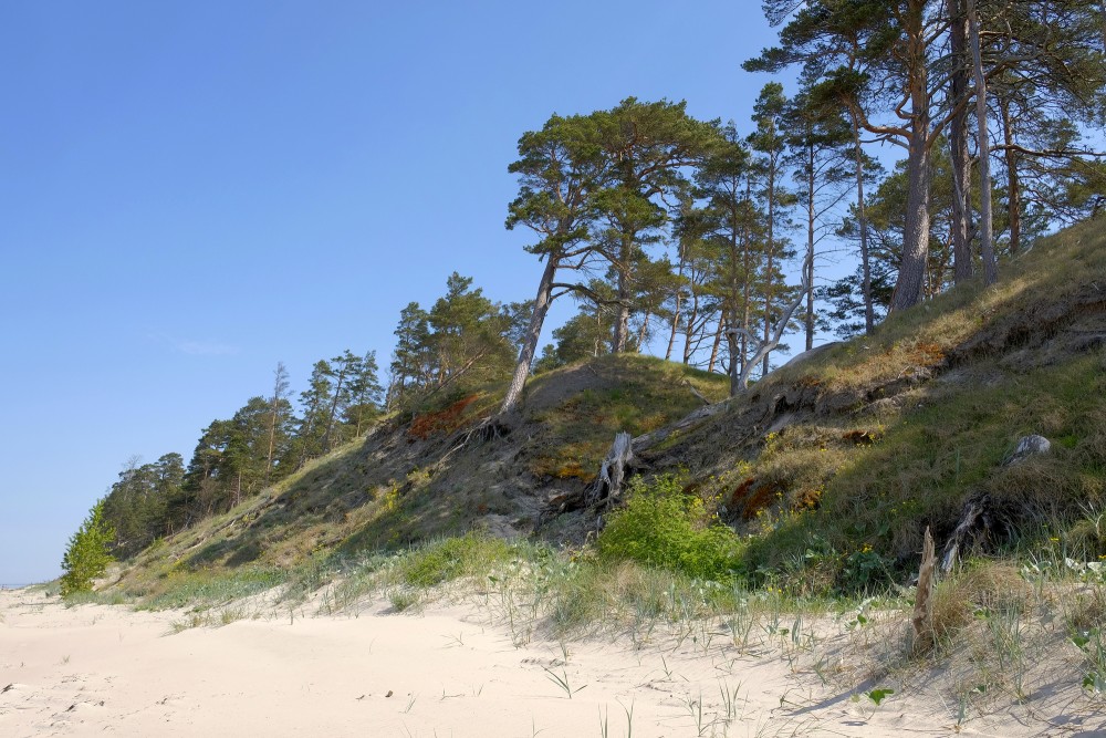 Bernātu pludmale, kāpas