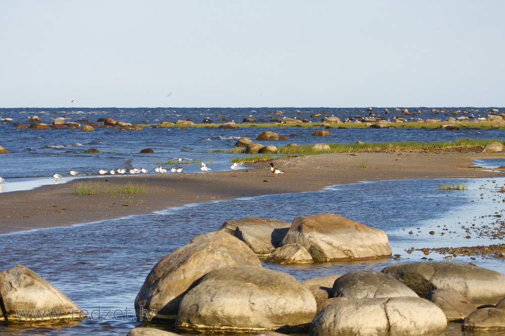 Rocky shore of the Baltic Sea in Mersrags, Latvia